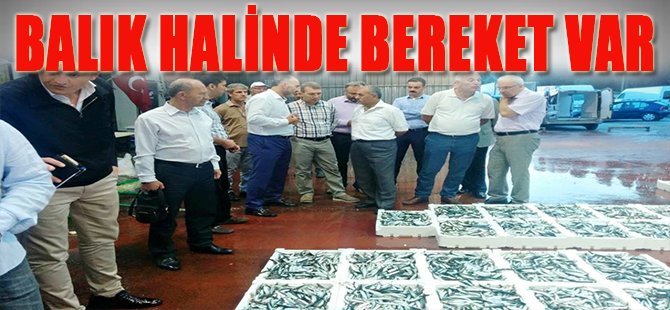 Balık haline bereket var