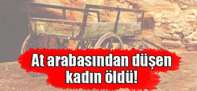 At arabasından düşen kadın öldü!