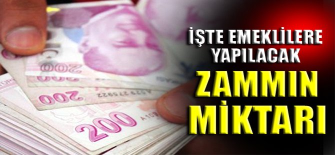 İşte emeklilere yapılacak zammın miktarı