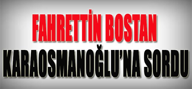 Fahrettin Bostan Karaosmanoğlu'na Sordu
