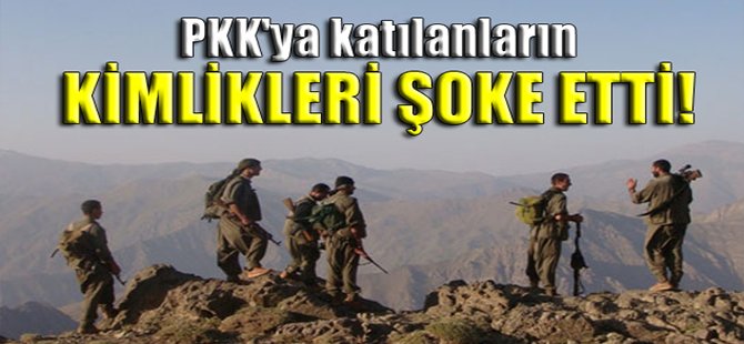 PKK'ya katılanların kimlikleri şoke etti!
