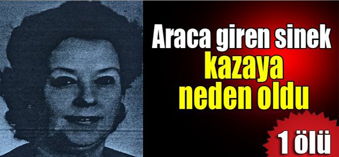 Araca giren sinek kazaya neden oldu: 1 ölü