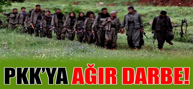 PKK'ya ağır darbe!