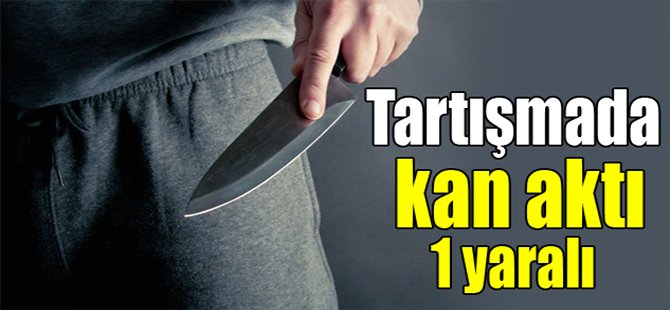 Tartışmada kan aktı: 1 yaralı