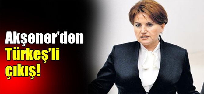 Akşener’den Türkeş’li çıkış!
