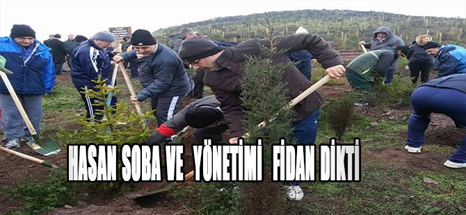 Hasan Soba ve  Yönetimi  Fidan Dikti