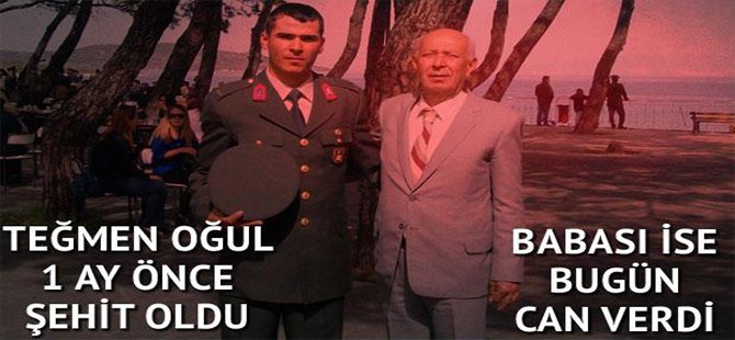 Şehit babası kazada öldü
