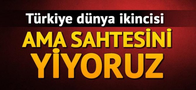 TÜRKİYE DÜNYA İKİNCİSİ AMA SAHTESİNİ YİYORUZ
