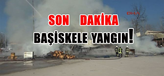 BAŞİSKELE'DE YANGIN