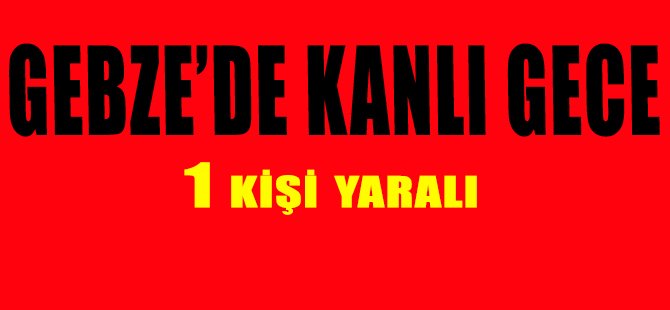 GEBZE DE KANLI GECE