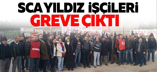 SCA Yıldız işçileri greve çıktı