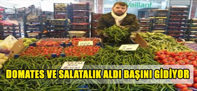 DOMATES VE SALATALIK ALDI BAŞINI GİDİYOR