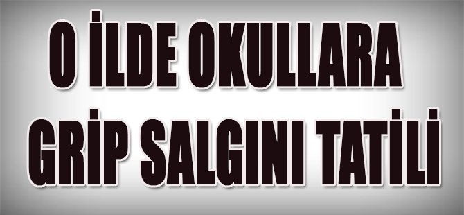 O ilde Okullara Grip Salgını Tatili