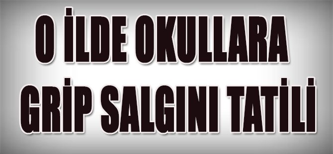 O ilde Okullara Grip Salgını Tatili