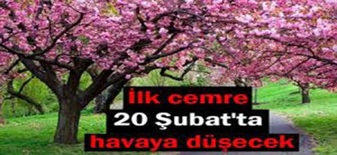 İlk Cemre 20 Şubat'ta Havaya Düşecek