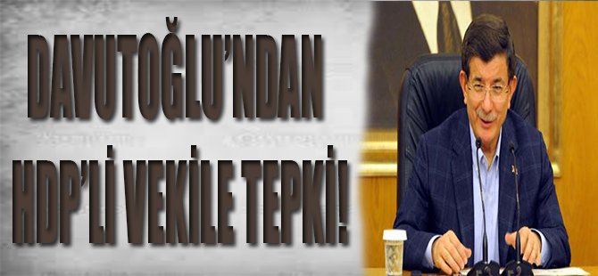 Davutoğlu'ndan HDP'li Vekile Tepki