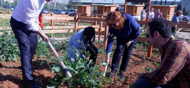 Gebze Teknik Üniversitesi’nde Hobi Bahçeleri