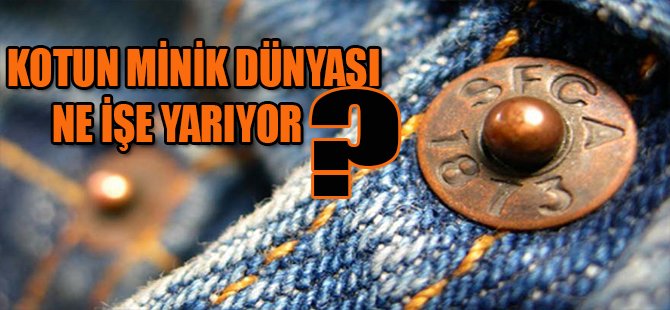 Kotun Minik Düğmesi Ne İşe Yarıyor?