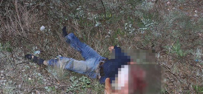 Kazada Sürücünün Başı Koptu