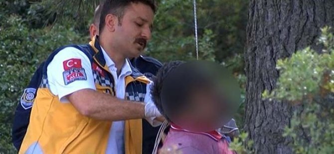 Ağaca Asılı Halde Çocuklar Buldu