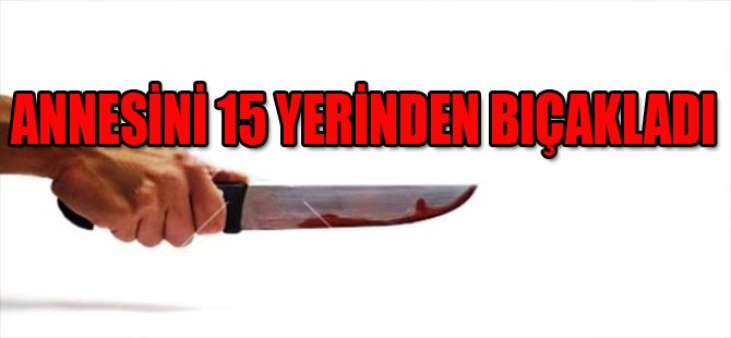 Annesini 15 Yerinden Bıçakladı