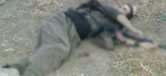 Van'da 2 PKK'lı terörist öldürüldü