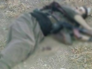 Van'da 2 PKK'lı terörist öldürüldü