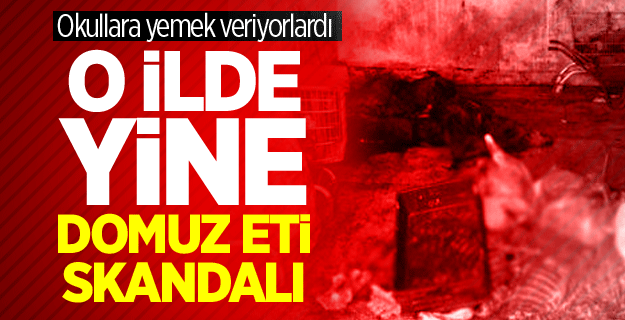 Aydın'da domuz eti skandalı!