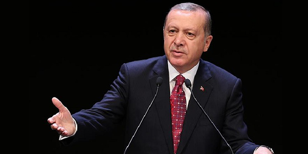 Rus senatör destek verdi: Erdoğan haklı