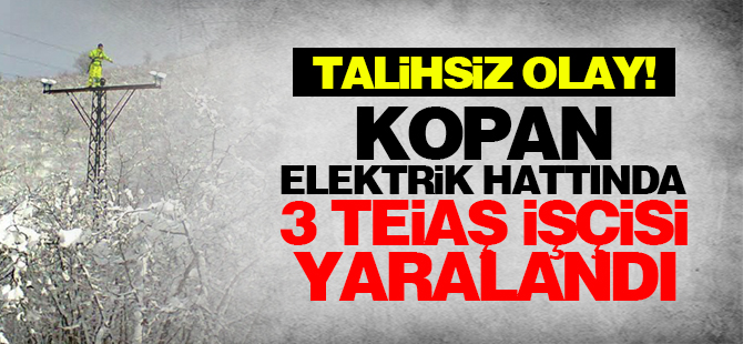 Kopan elektrik hattında 3 TEİAŞ işçisi yaralandı