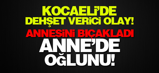 Kocaeli'de dehşet verici olay!