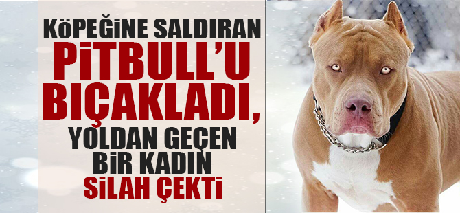 Köpeğine saldıran pitbull'u bıçaklayınca ortalık karıştı