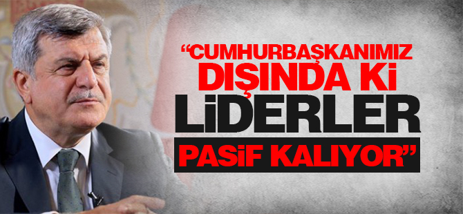 “Cumhurbaşkanımız dışında ki liderler pasif kalıyor”