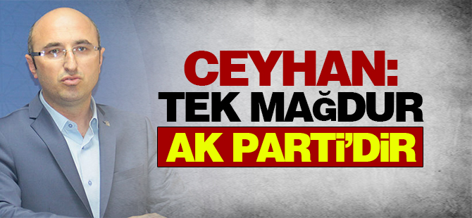 'Tek mağdur AK Parti'dir'