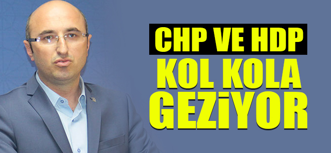 CHP ve HDP kol kola hareket ediyor