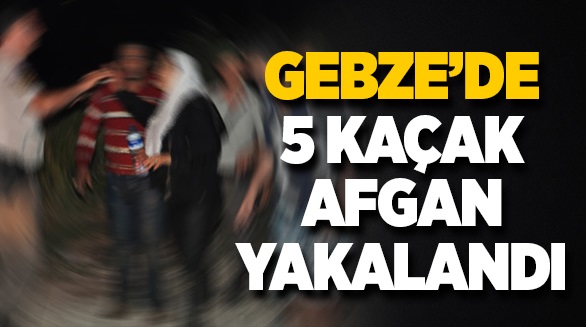 Gebze'de 5 kaçak Afgan yakalandı