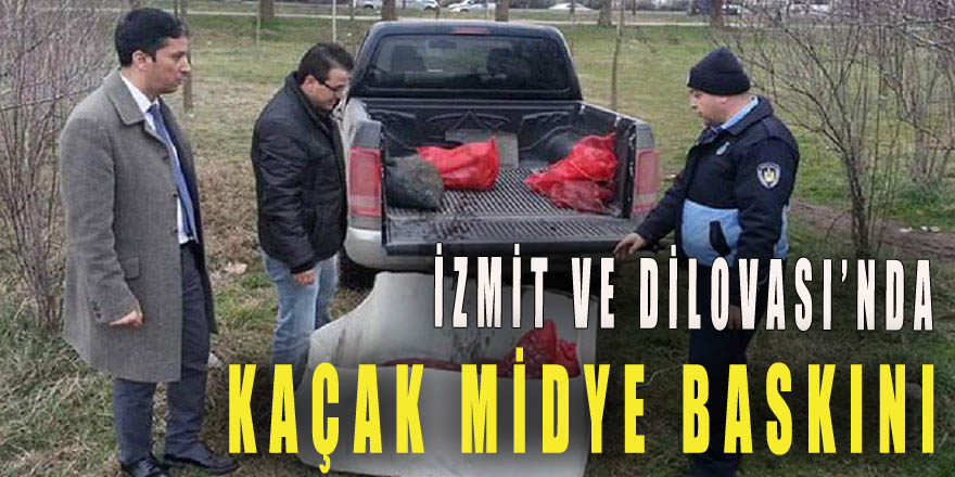 Kaçak midye baskını
