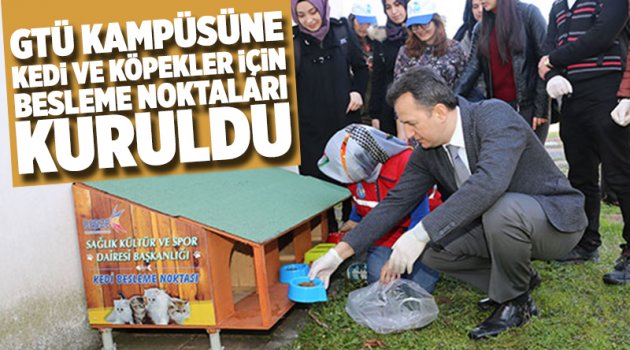 Kedi ve köpekler için besleme noktaları kuruldu