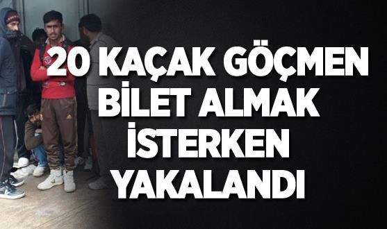 Gebze'de çok sayıda kaçak yakalandı