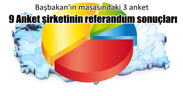 9 Anket şirketinin referandum sonuçları