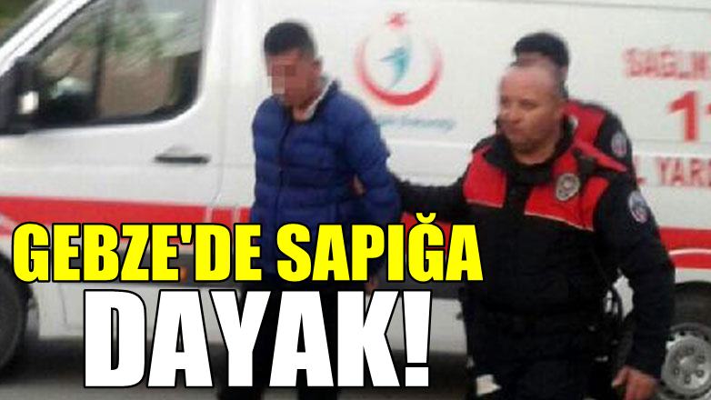 Gebze'de sapığa dayak