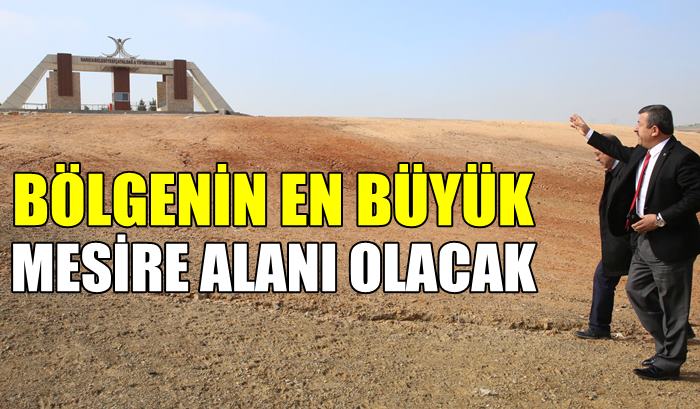 600 dönüm alana mesire alanı