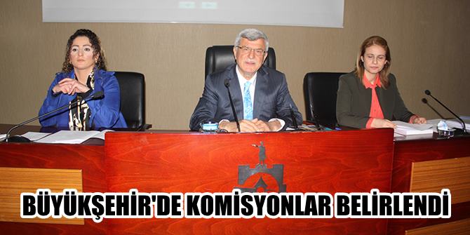 Büyükşehir'de komisyonlar belirlendi