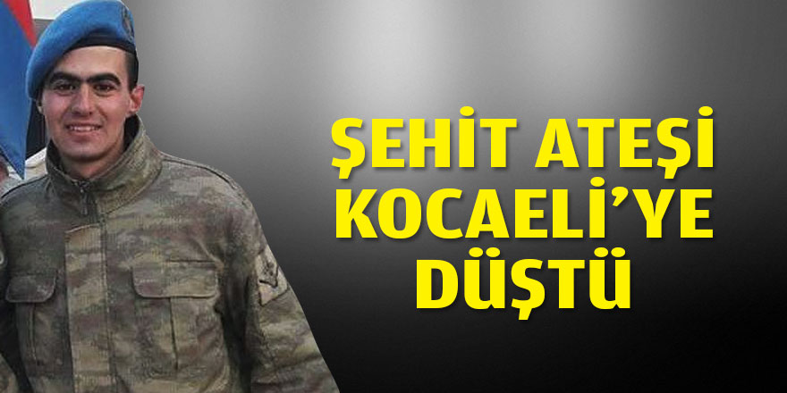 Kocaeli'ye şehit ateşi düştü