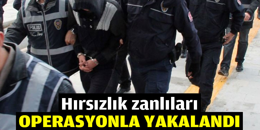 Hırsızlık zanlıları operasyonla yakalandı