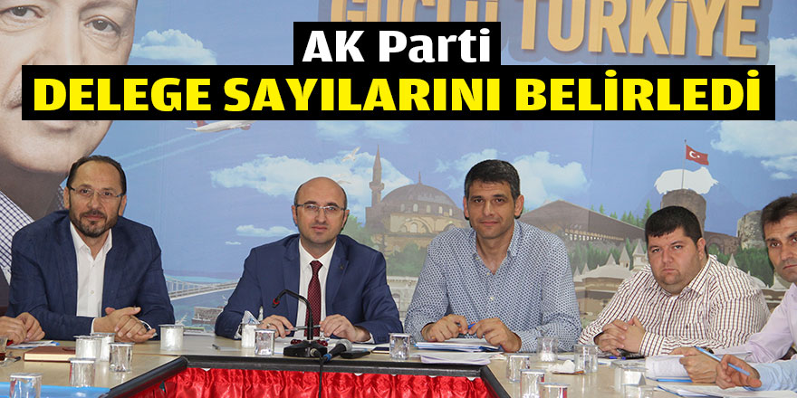 AK Parti, delege sayılarını belirledi