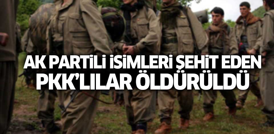 İçişleri'nden açıklama: Ak Partili isimleri şehit eden PKK'lılar öldürüldü
