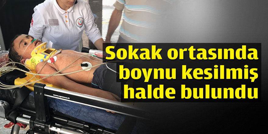 Sokak ortasında boynu kesilmiş halde bulundu