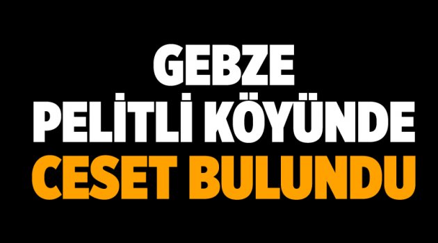 Pelitli Köyünde ceset bulundu!