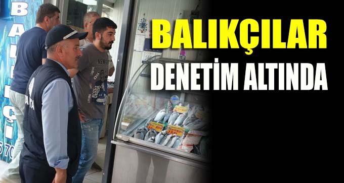 Balıkçılar denetim altında!